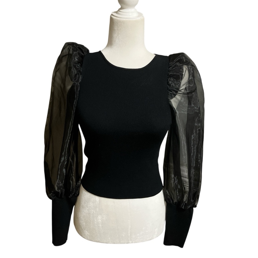 Chic Black Sheer Sleeve Blouse - Picture 2 of 3